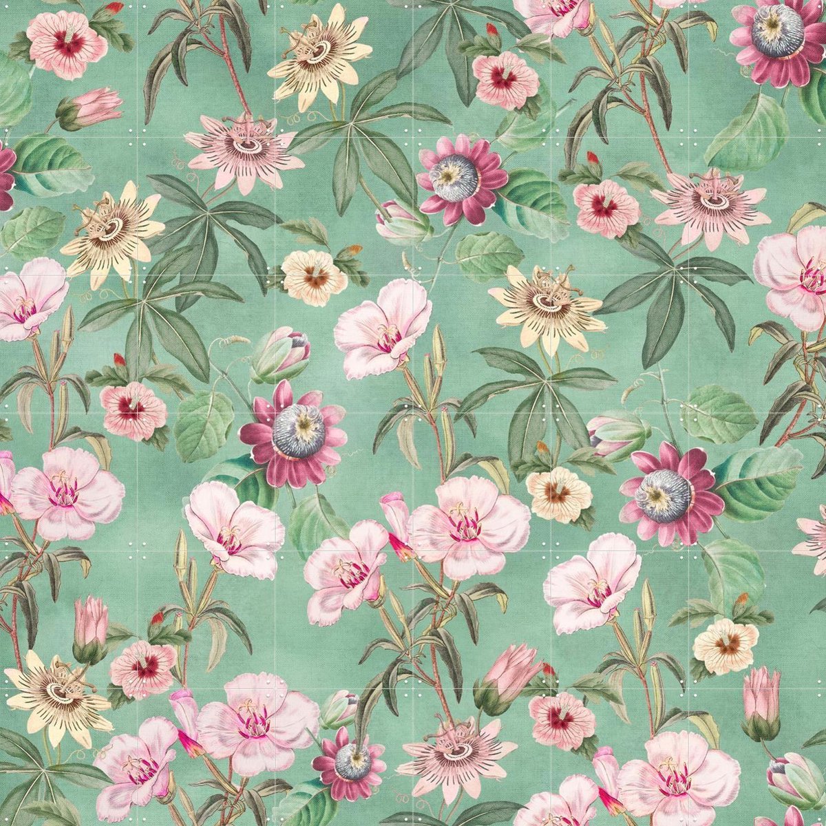 IXXI Tropical Vintage Passiflora and Hibiscus, Bloomery Decor - 120 x 120 cm - Gratis ophangtool - Grote wanddecoratie en posters - Decoratieve