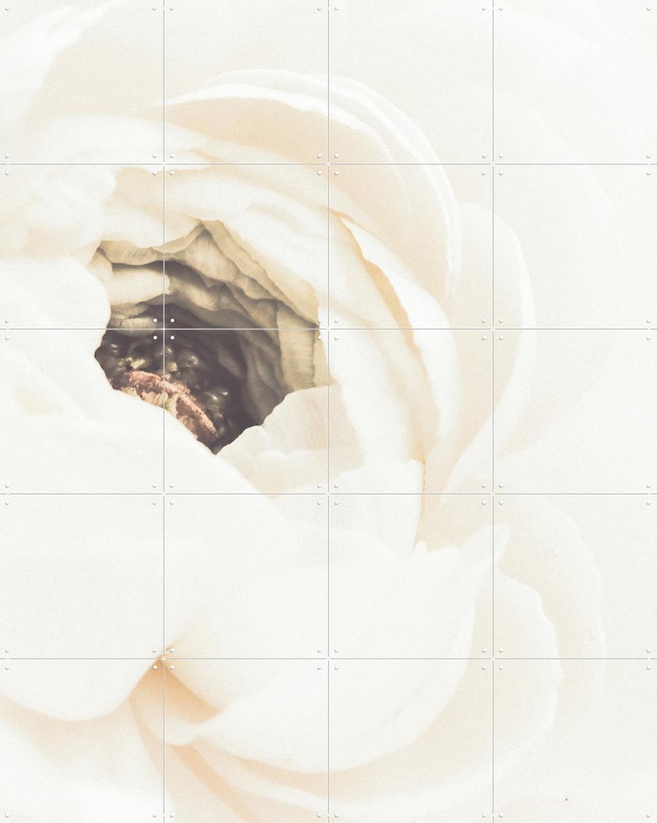 IXXI White Flower 01, 1x Studio II & Various - 80 x 100 cm - Gratis ophangtool - Grote wanddecoratie en posters - Realisme, Impressionisme