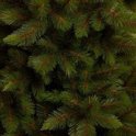 Close-up van de dichte, groene naalden van de Triumph Tree kerstboom.