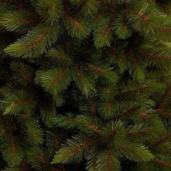 Close-up van de dichte, groene naalden van de Triumph Tree kerstboom.