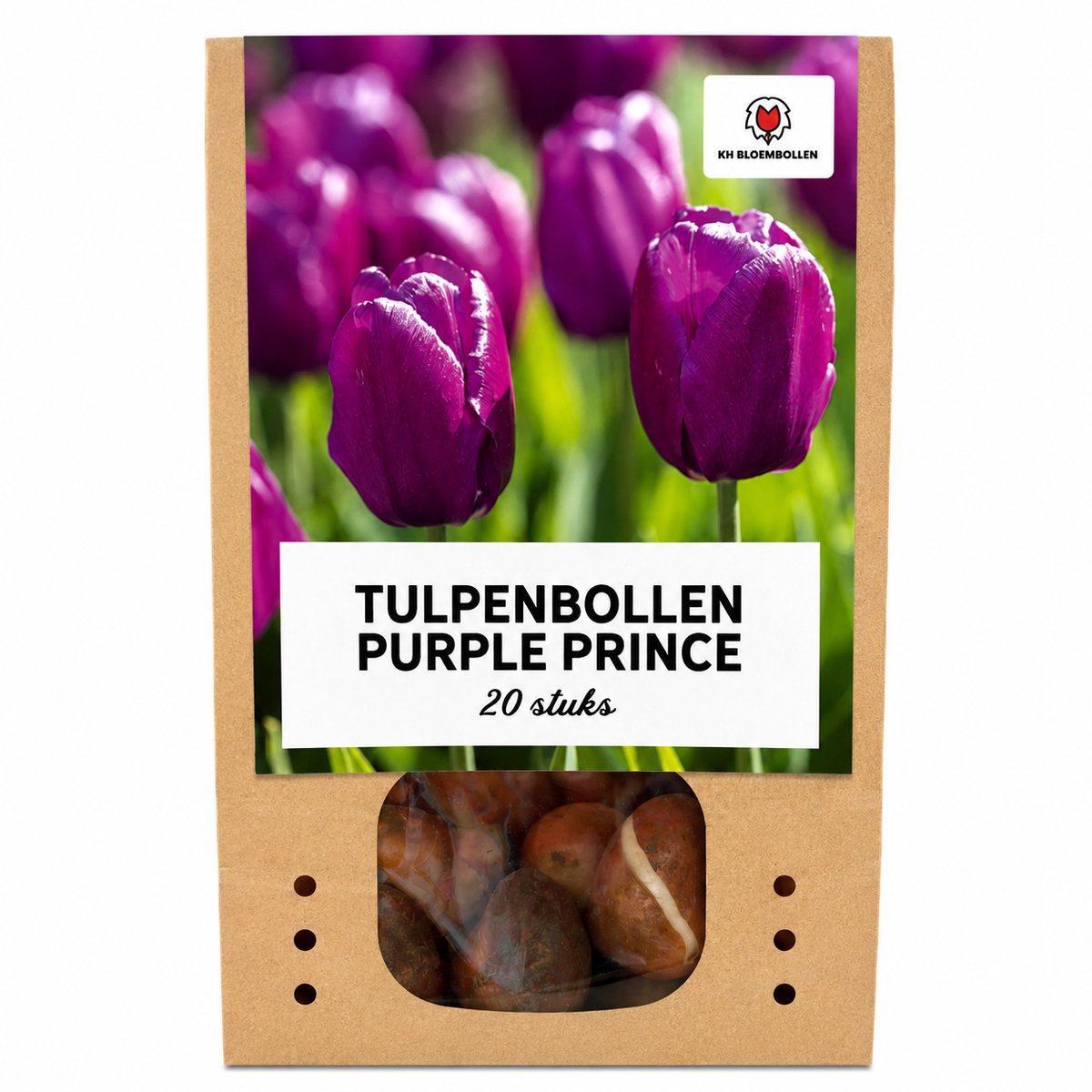 Tulpenbollen Purple Prince – 20 Stuks | KH Bloembollen® | Prachtige Paarse Tulp – Voor Tuin of Pot – Maat 11/12 – Cadeau – Vers van de Teler!