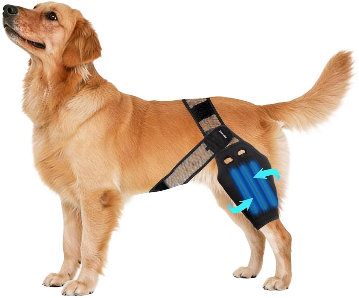 Ademende kniebandage voor honden, elastische beensteun bij artritis, kruisbandletsel en patellaluxatie, maat M