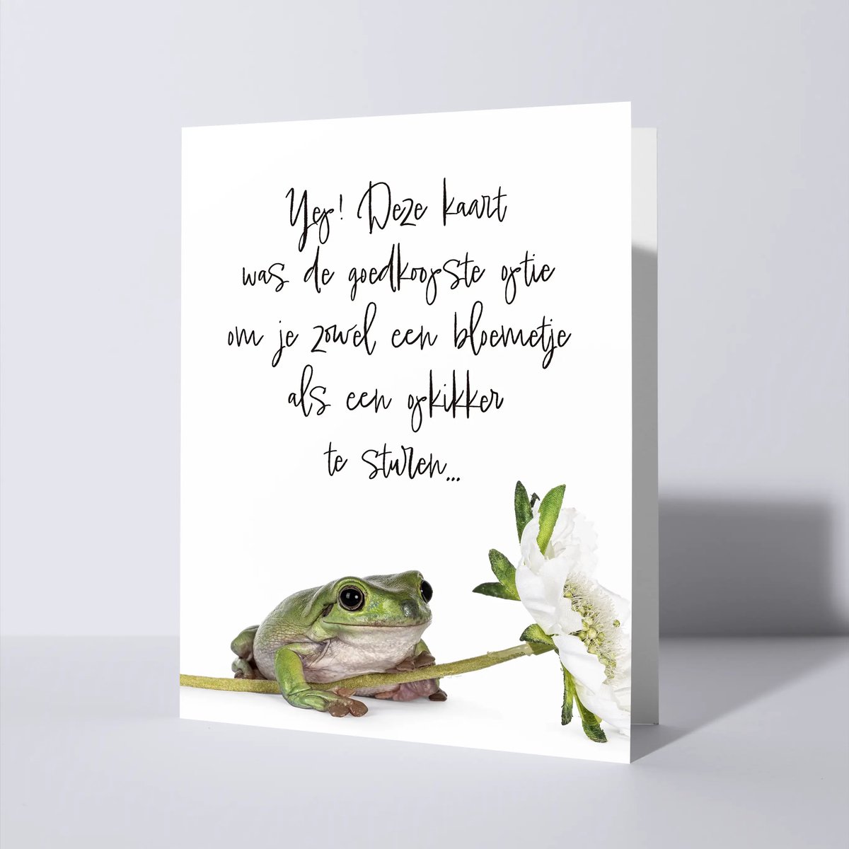 CAT'CHY Cards - wenskaart - beterschap - kikker