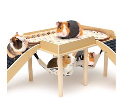 Omgoods - Cavia Huis met 2 Hangmatten voor Kleine Huisdieren