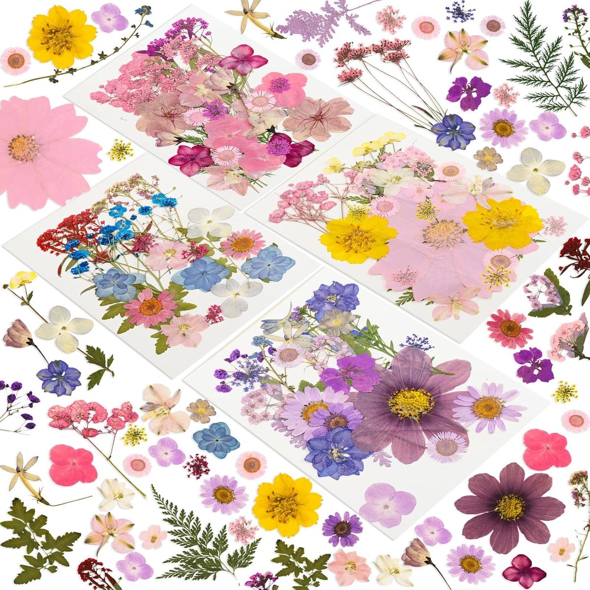 geperste bloemen 220 stuks - echte gedroogde bloemen - natuurlijke bladeren - perfect voor harsambachten - ShopVlot