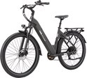 Grijze TTGO C5 e-bike met bagagedrager, dikke banden en verlichting, gezien vanaf de voorkant.