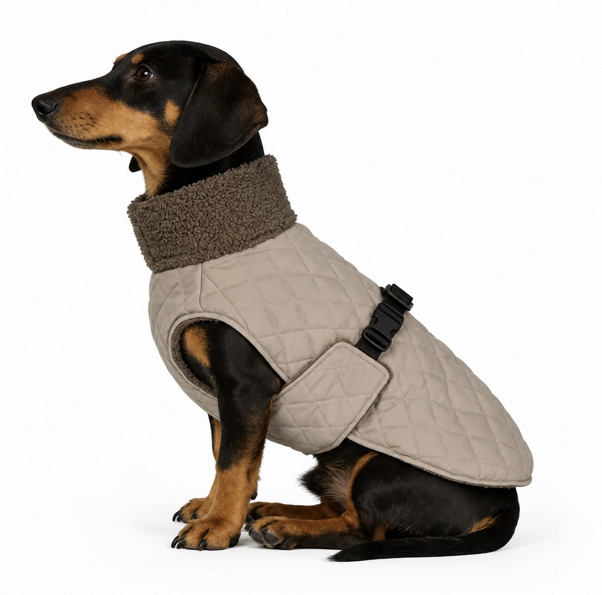 Dogs&Co Gewatteerde Hondenjas Teddy Kraag – Waterafstotende Winterjas voor Honden – Beige - Ruglengte 32cm