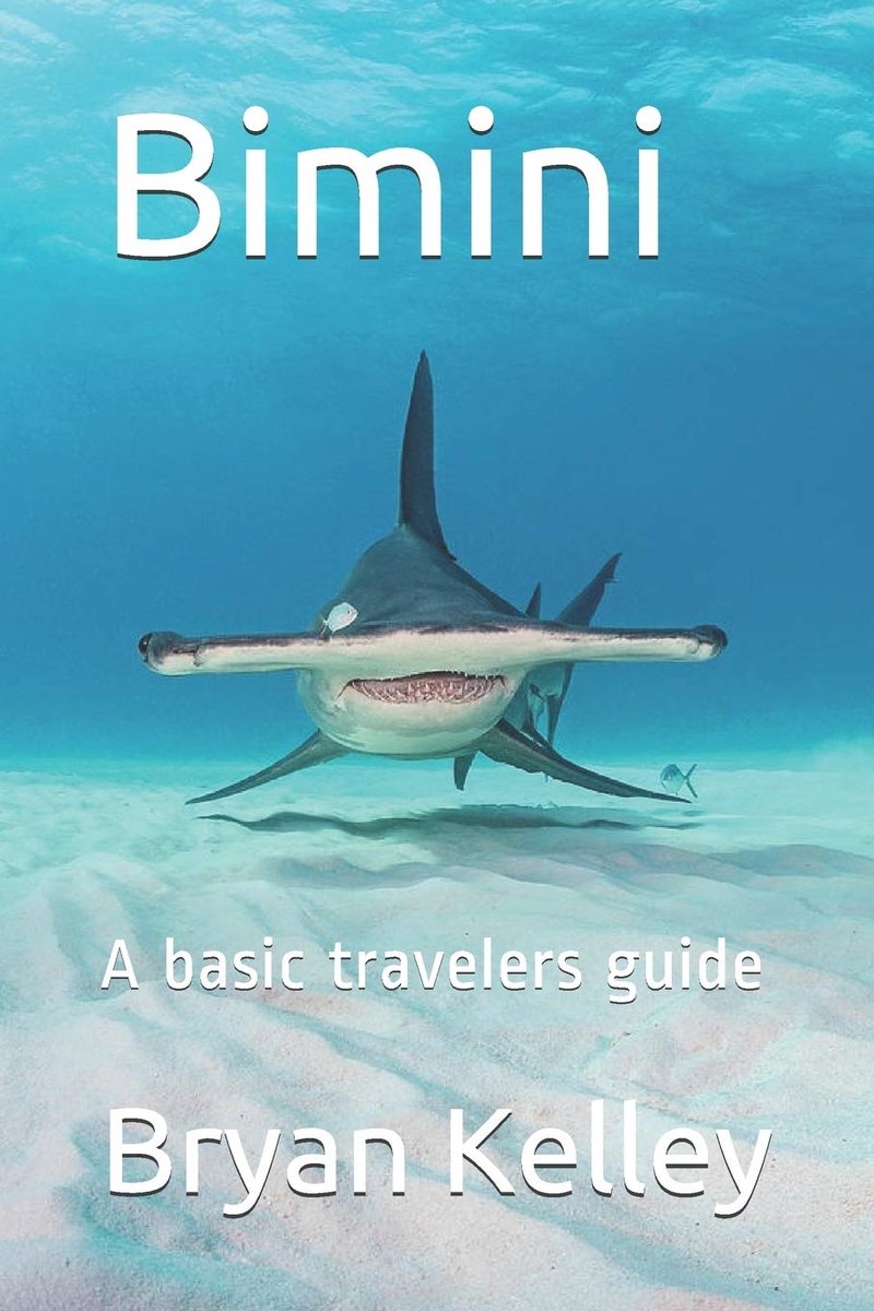 A basic travelers guide