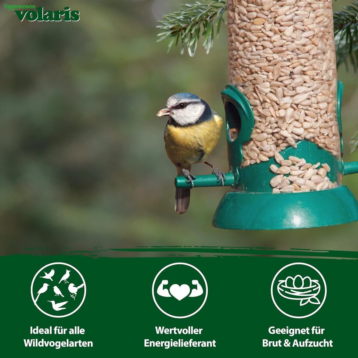 SnelShoppen - Zonnebloempitten Vogelvoer 25 kg - Hoogwaardige Ongeschilde Zonnebloemzaad Voor Wilde Vogels - Energie Rijk Voedsel Voor Tuin En Voeding