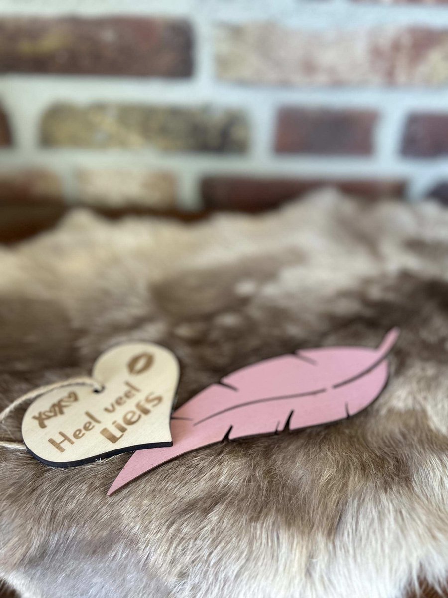Creaties van hier – Veer - 19x5cm - roze - met houten hartje