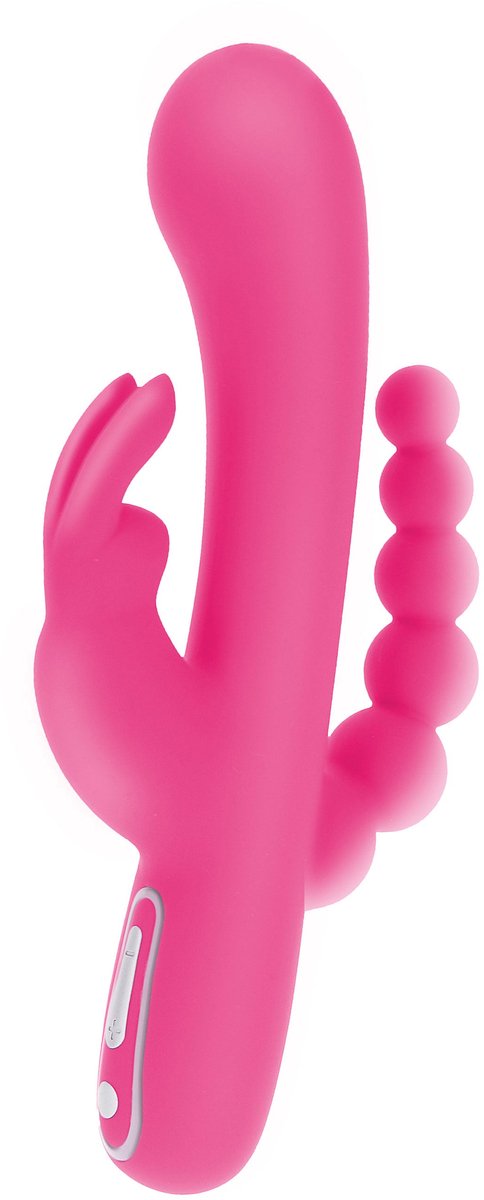Rabbit and Anal Vibrator