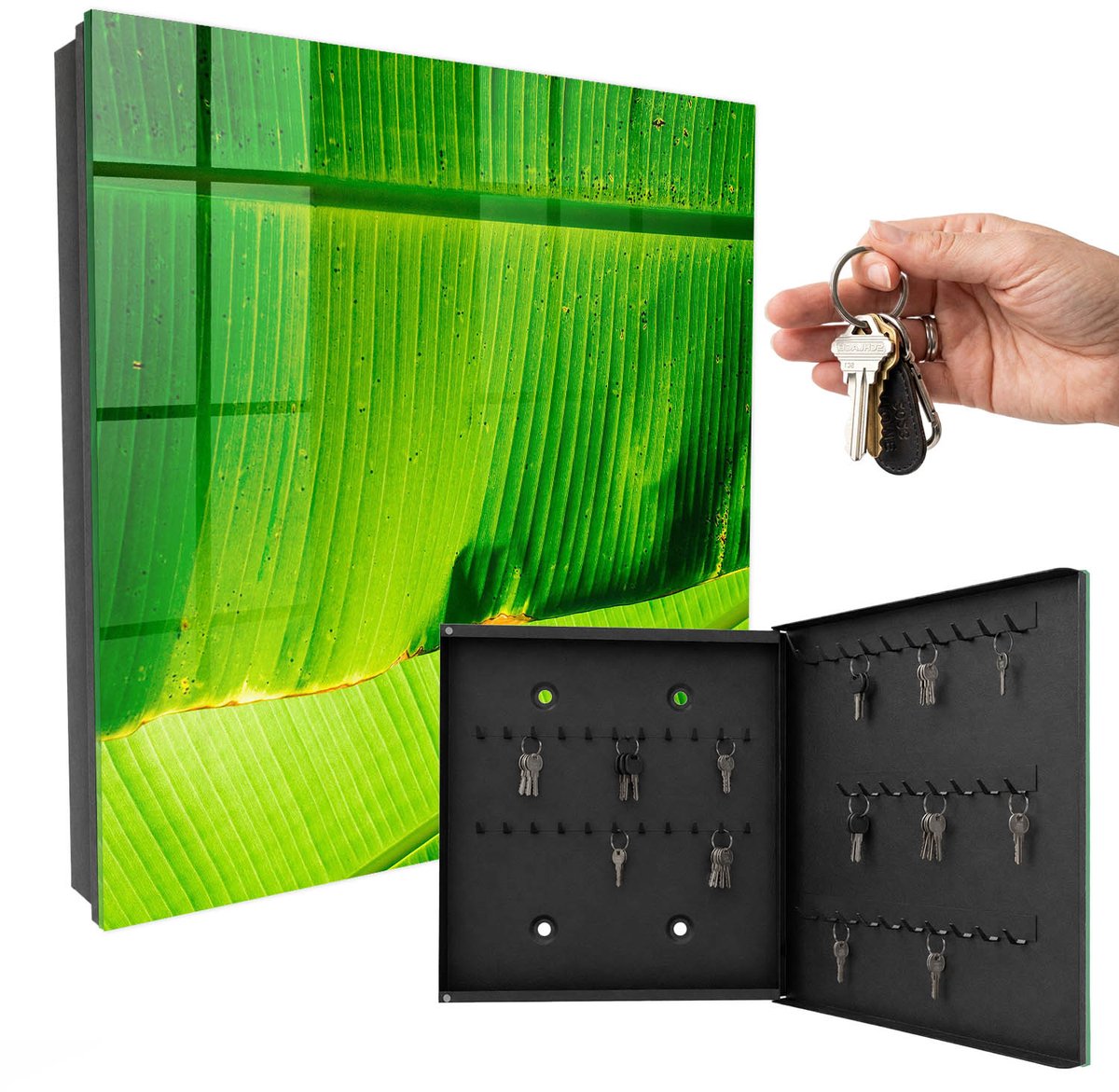 WallMuralia - Sleutelkast - 30x30x5 cm - met 50 haken - Bladgloed Sleutelkastje - Groente Sleutelbox - Rechtsopenend - Zwart interieur