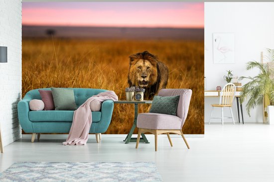 Papier peint - Papier peint photo Papier peint photo - Savane - Herbe - Largeur 415 cm x hauteur 300 cm