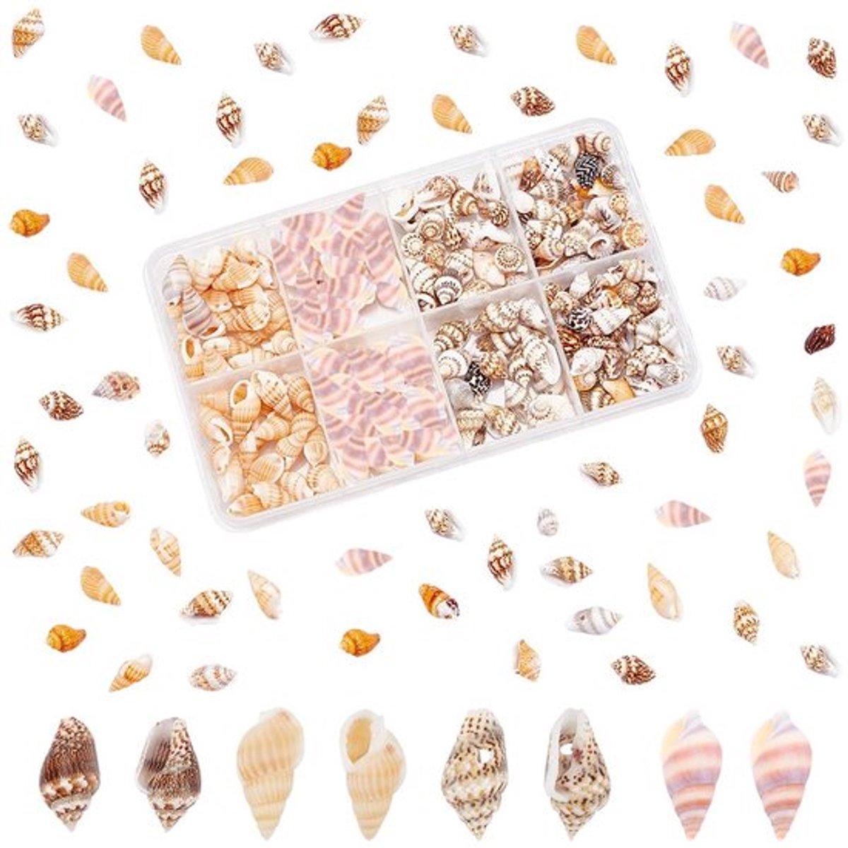 SPHProducts - Mini Zeeschelpen - Decoratieve schelpen - Natuurlijke