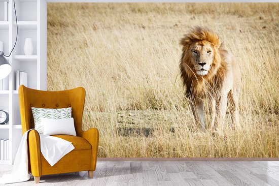 Papier Peint - Papier peint photo Lions - Afrique - Herbe - Largeur 360 cm x Hauteur 240 cm