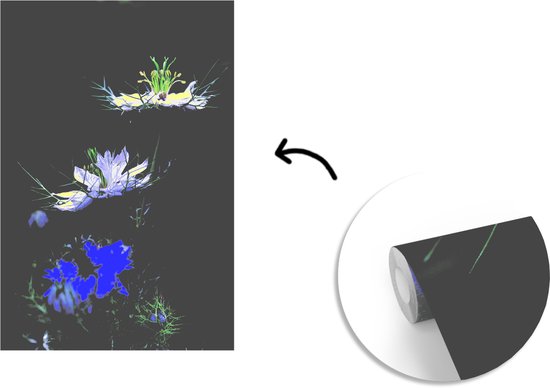 Papier peint vinyle - Deux plantes de nigelle en pleine floraison largeur 150 cm x hauteur 220 cm - Tirage photo sur papier peint (disponible en 7 tailles)