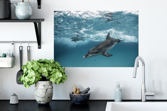 Sticker Muursticker Dauphin - Dauphins nageant près des Bahamas - 60x40 cm - film adhésif autocollant - sticker mural repositionnable
