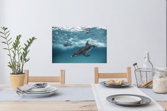 Sticker Muursticker Dauphin - Dauphins nageant près des Bahamas - 60x40 cm - film adhésif autocollant - sticker mural repositionnable
