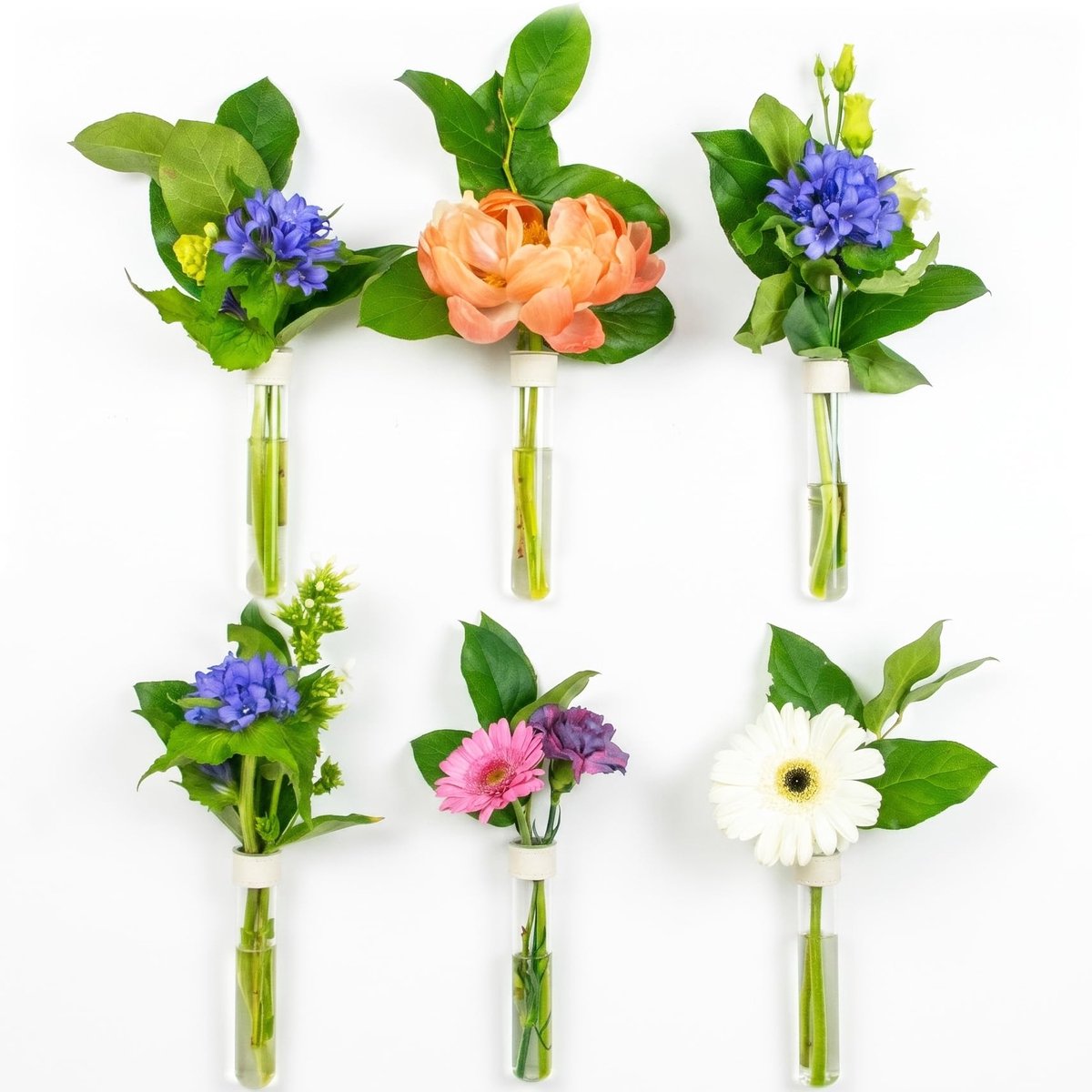 Reageerbuizen voor bloemen met wit leer en wandmagneet - Set van 6 - bloemenvaas, magnetische vaas, reageerbuis met standaard