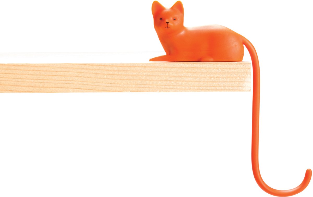 Ginger Cat