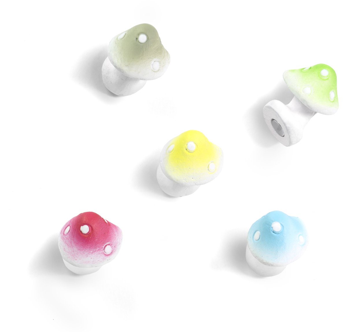 Magnet Mushroom - set of 5 assorted
