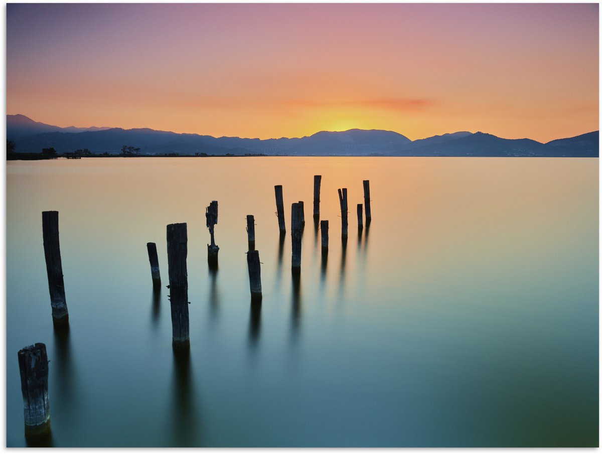 Poster 80x60 cm - Palen in het kalme water bij zonsondergang - Posters - Kamer decoratie -