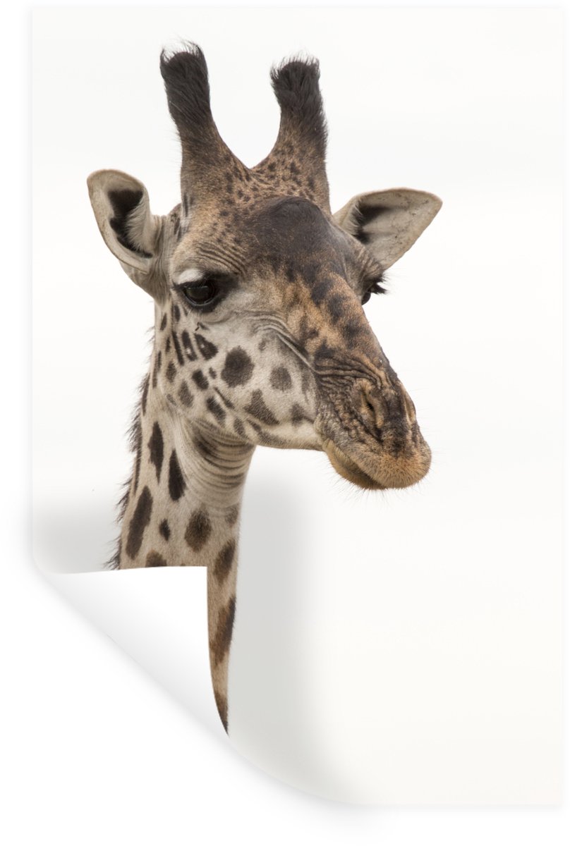 Muurstickers - Sticker Folie - Giraffe - Dier - Wit - 20x30 cm - Plakfolie - Muurstickers 