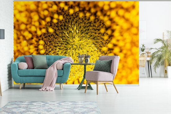 Papier peint - Papier peint photo peint - Noyau gros plan d'un tournesol - Largeur 420 cm x hauteur 280 cm