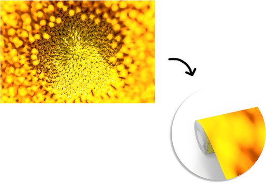 Papier peint - Papier peint photo peint - Noyau gros plan d'un tournesol - Largeur 420 cm x hauteur 280 cm