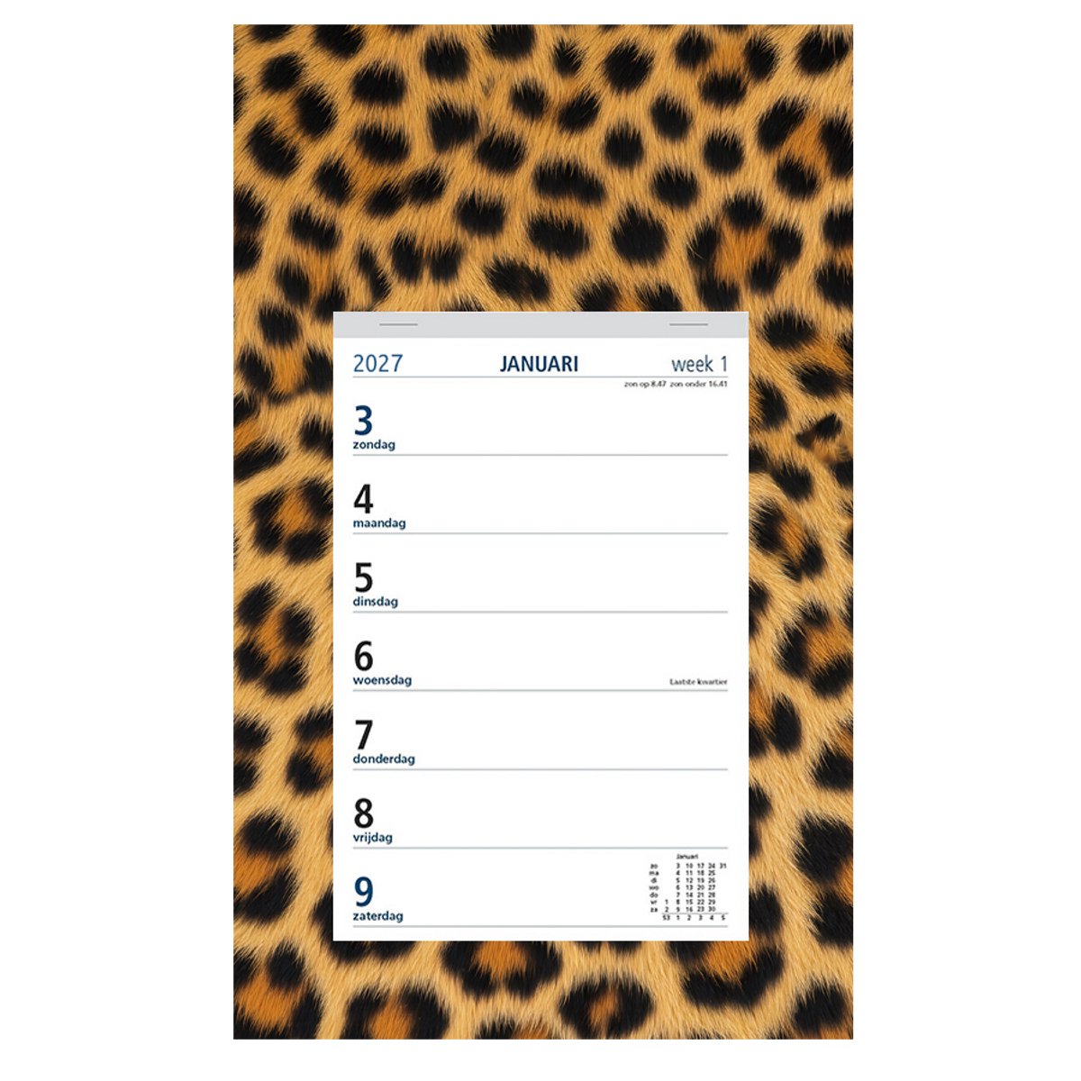 Castelli - weekkalender op schild 2027 - ringband - 2 weken overzicht - formaat 20x33cm - dessin schild Panter