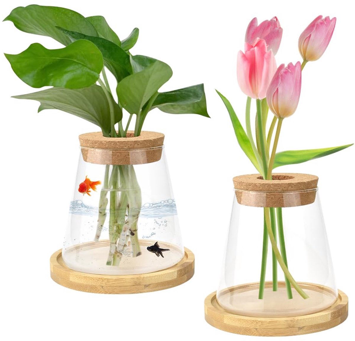Hydrocultuur glazen vaas - decoratief en modern - voor planten - duurzaam design - ShopVlot