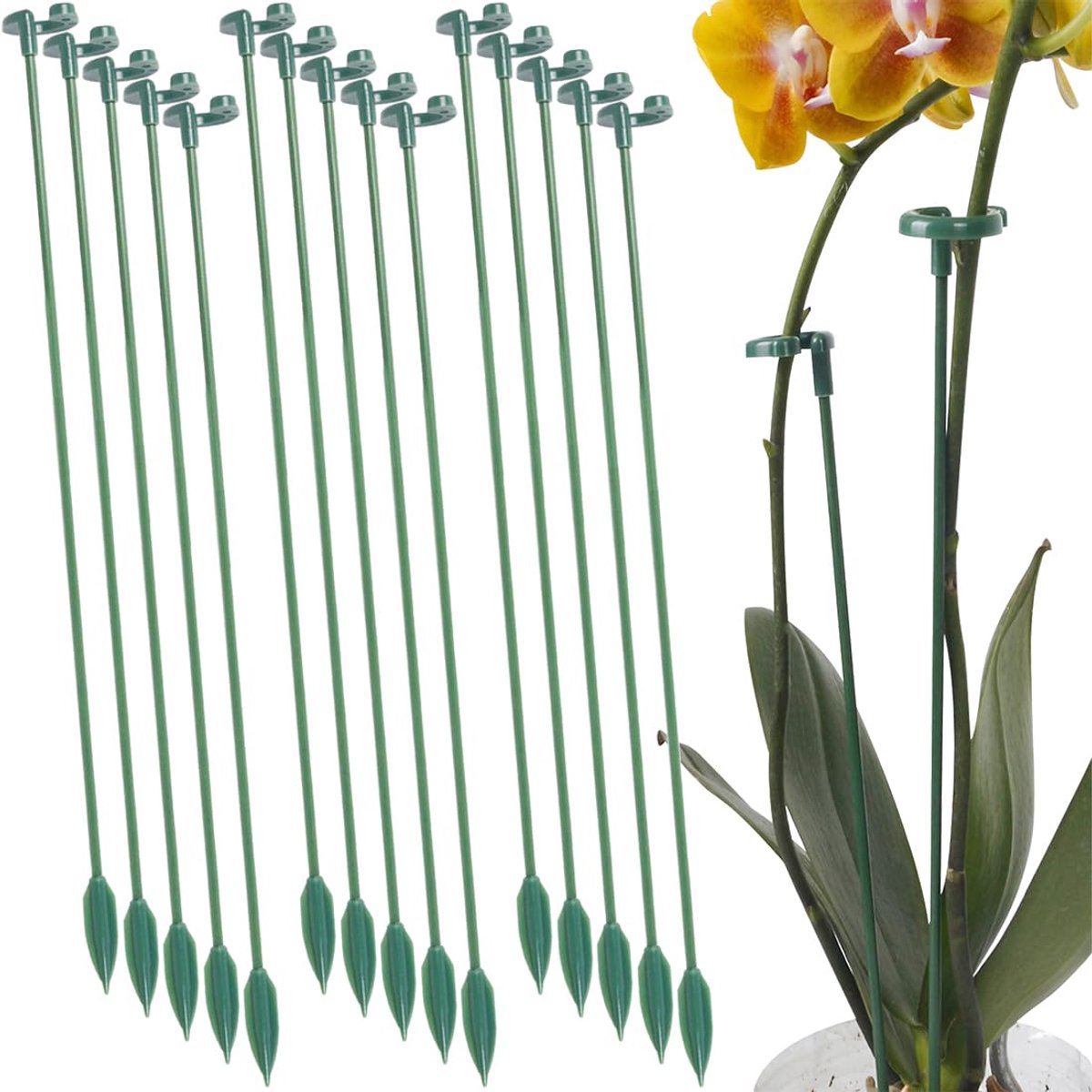 Plantensteunenset, 15 stuks, 27 cm, van milieuvriendelijke kunststof, stabiele steun voor hortensia's, pioenrozen, rozen en meer