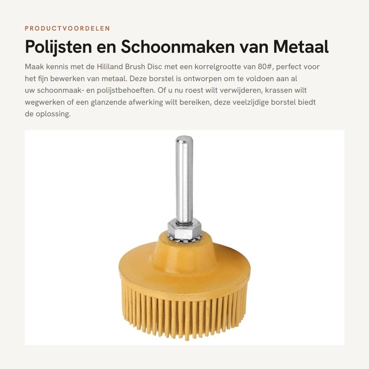 Dailygoods - Polijsten en Schoonmaken van Metaal - Brush Disc Grit 80 - Geschikt voor Professioneel Gebruik - Hoogwaardige Afwerking - Ideaal voor Met...