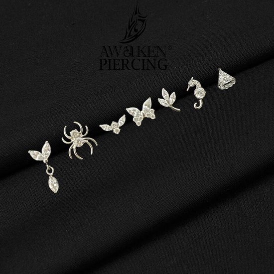 Labret Piercing met kristallen en interne draad Helix Hoops Daith Tragus Tragus Rook Conch Kraakbeen Oorbel Neusgat Clicker Dames Sieraden — afbeelding 2