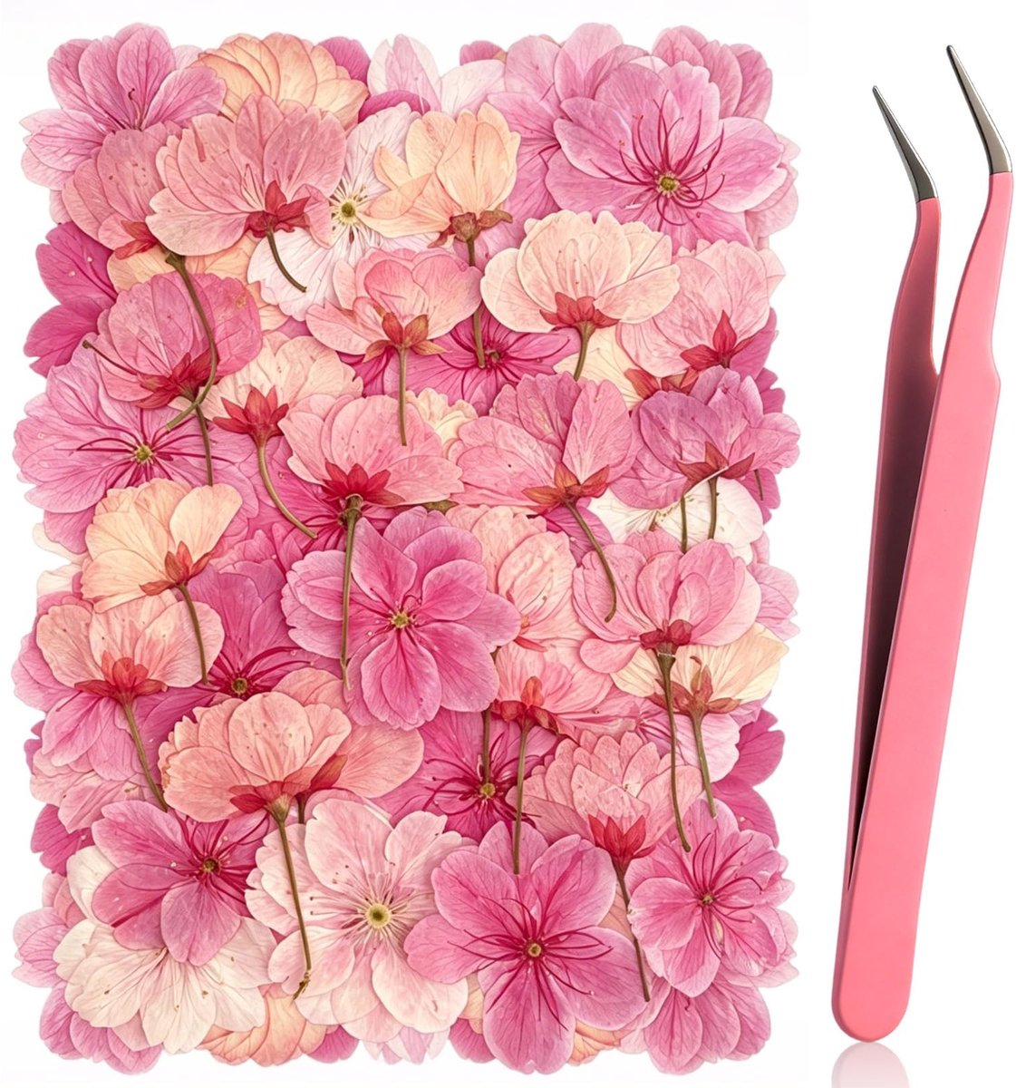 Omgoods - Gedroogde Sakura Kersenbloesems 50 Stuks voor Creatieve Decoratie