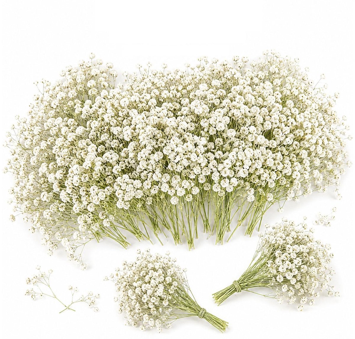 SolidKeus - 100 Stuks Gedroogde Gypsophila Voor Versieringen en Craftprojecten