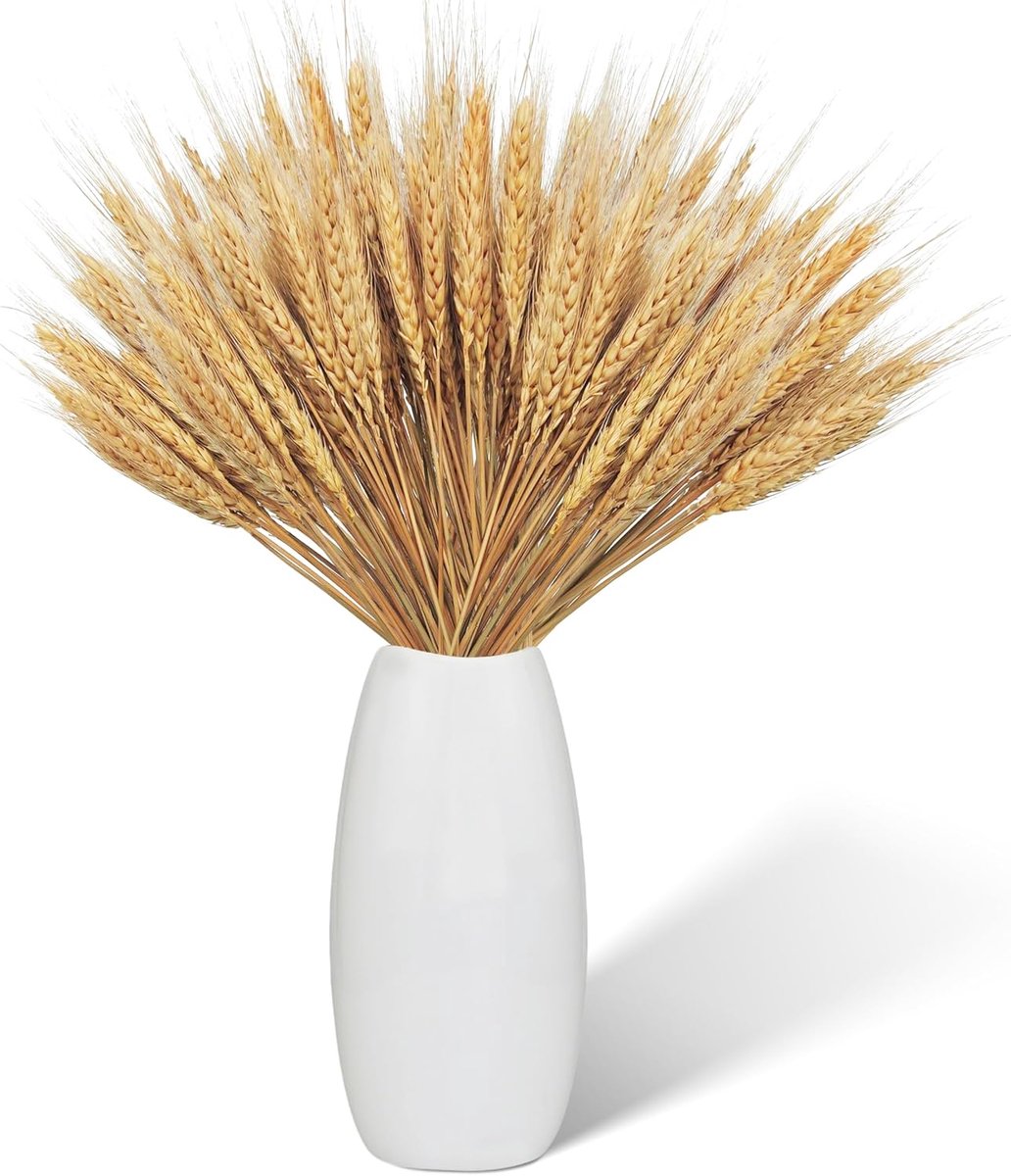 100 stuks Gedrogen tarwe Droogbloemen Graan Gedrogen bloemen 43cm Gedrogen tarwe bundel natuurlijke tarwegrassdecoraties