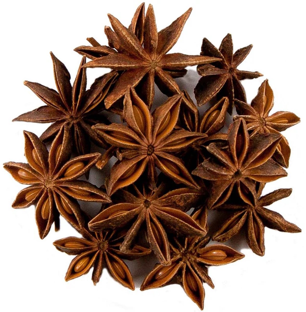 Steranijs Thee Losse Thee - Puur & Natuurlijk - Gedroogde Steranijs - Intens Anijsachtig - 100 gram