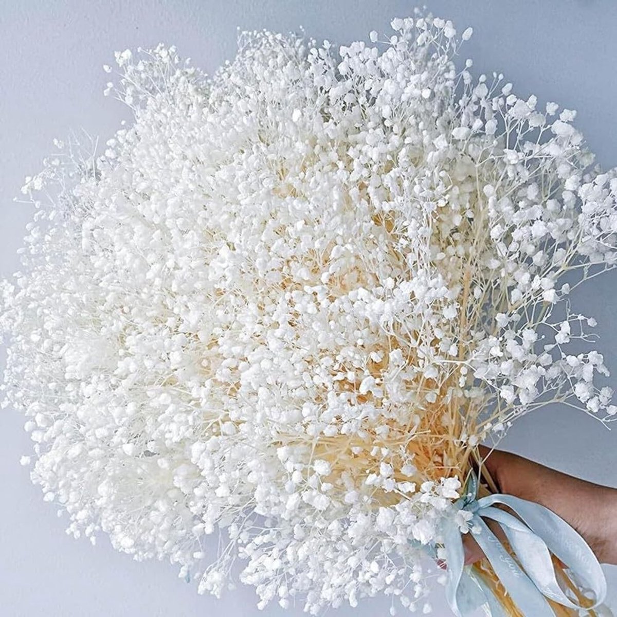 SolidKeus - Natuurlijke Gedroogde Bloemen voor Decoratie en DIY