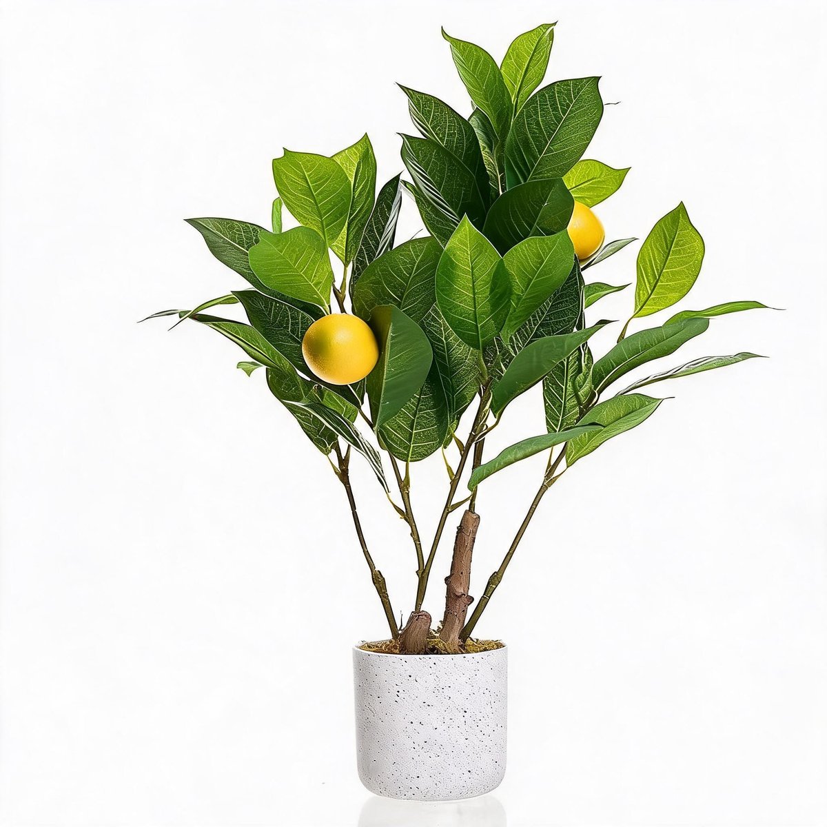Triumpunpre kunstcitroenplant set 2 stuks 50 cm PEVA - decoratieve citroentakken voor binnen