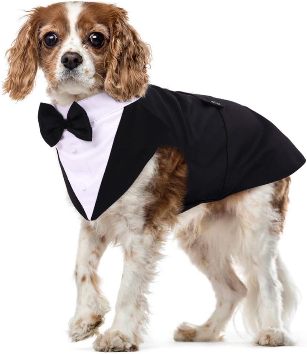 Trouwpak voor honden, smoking-kostuum, formele feestoutfit, befje met afneembare vlinderdas en knoopjes, hondenkleding, voor kleine en middelgrote honden (zwart, M)