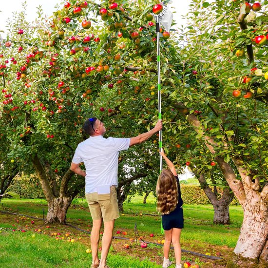 Fruitplukker Met Steel - 2.8M - Appelplukker - Fruit Plukker - Lange Fruitpluktool met telescopische steel - Fruitgrijper met telescopische steel en opbergtas - Snoeigereedschap - Voor kersen, bessen, sinaasappels, peren, citroenen — afbeelding 4