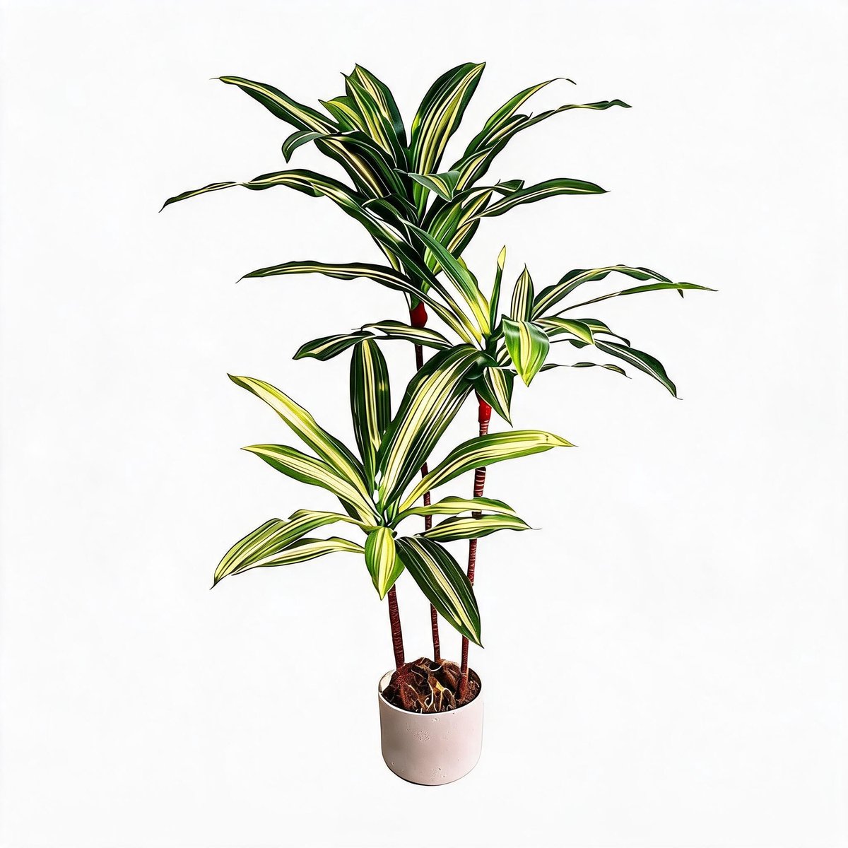 Danky kunst Dracaena Brasil 100cm PEVA PE - levensechte compacte groenplant met verzwaarde pot voor bureau woonkamer decoratie