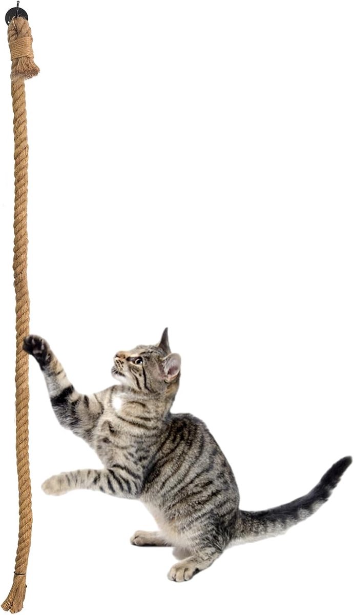 300 cm x 3 cm krab- en klimtouw met haak/natuurlijke jutevezel | Voor plafond- en wandmontage, katteninrichting voor binnen en buiten