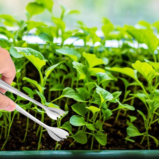 Set van 2 Transplantatierods van RVS van 20,5 cm voor het Verplanten van Zaailingen, Tuinaccessoires voor Minder Wortelschade en Efficiënt Planten — afbeelding 4