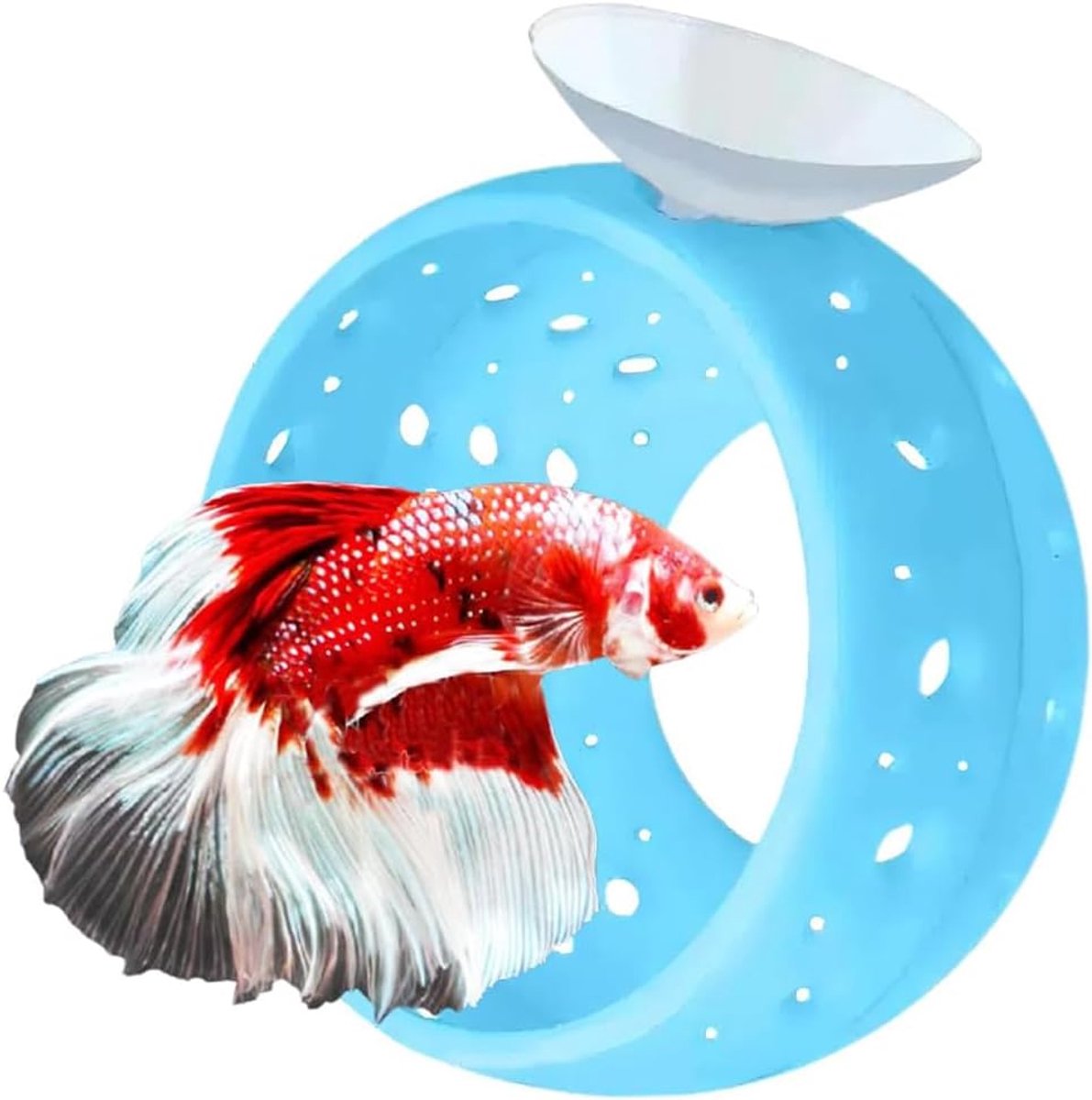 SnelShoppen - Betta Vissen Tunnel met Beker - Aquarium Vis Schuilplek Garnalen Cave Guppy Tunnel Tank Accessoires Aquarium Decoratie (Blauw)