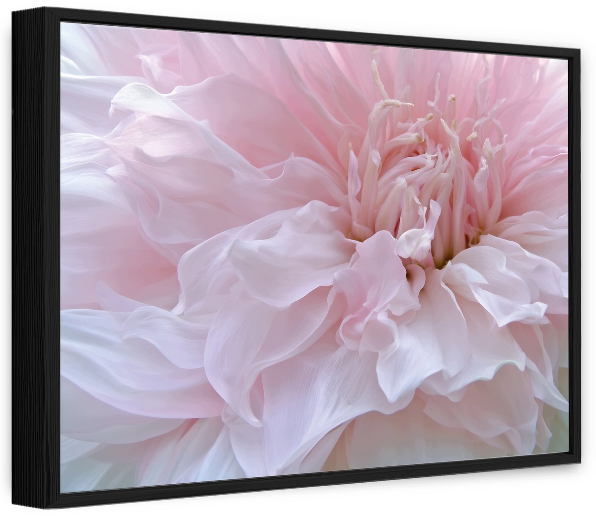 WALLARENA Canvas schilderij met zwarte lijst 90x60 cm - grote roze bloem