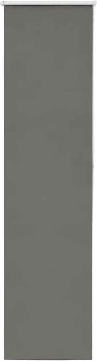 Verduisterend Rolgordijn 50x210 cm Grijs – Textiel met Privacy Functie, Dimbare Lichtregeling - Thermisch Geïsoleerd