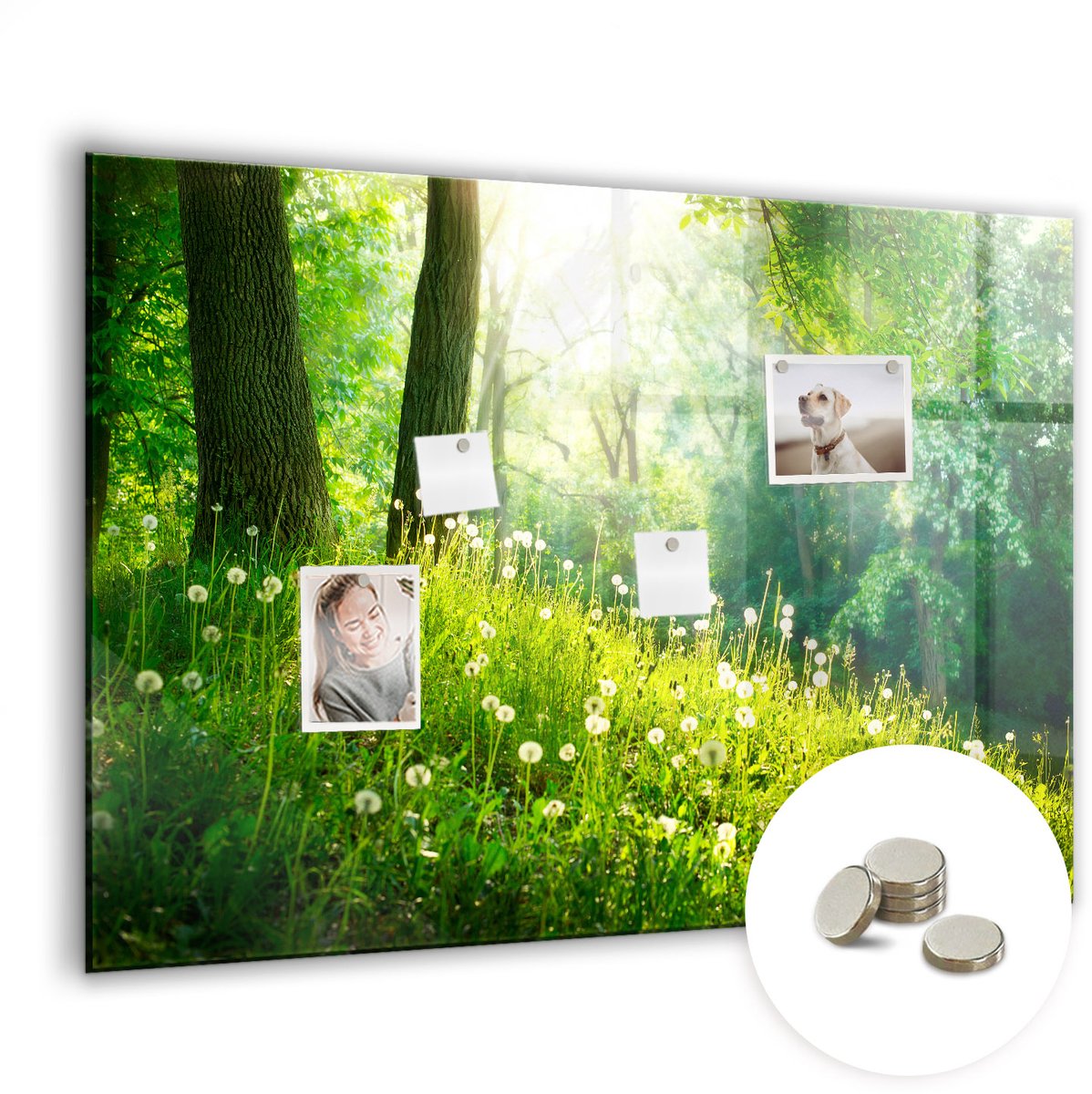 Coloray Glazen Magneetbord - Magnetisch Bord Wereldkaart van droogte - 100x70 cm - Groente Magneetbord - Magnetic Board - Magneetbord Design