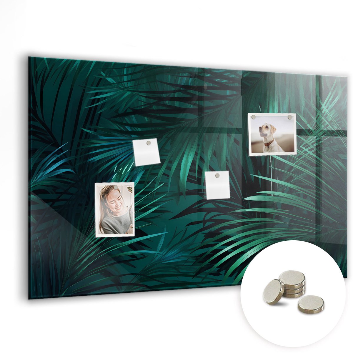 Coloray Glazen Magneetbord - Magnetisch Bord Een biervat - 90x60 cm - Groente Magneetbord - Magnetic Board - Magnetisch Wandbord